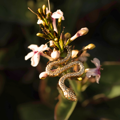 Kolczyki Aware pozłacane